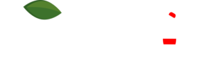 Padazis White Logo